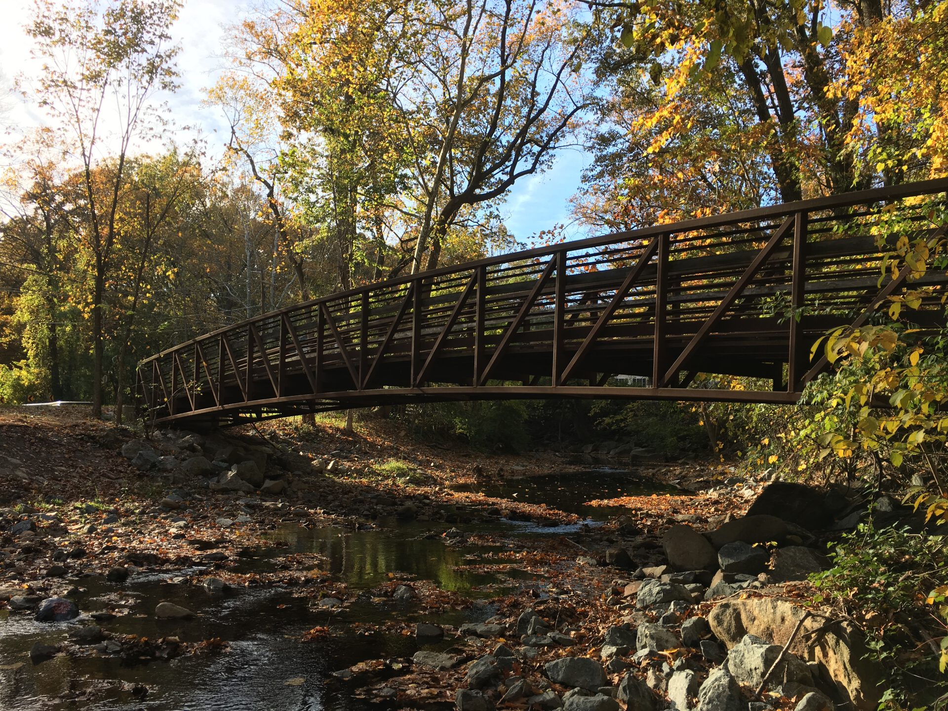 Fall Colors on the Sligo Creek Trail