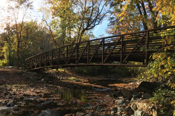 Fall Colors on the Sligo Creek Trail