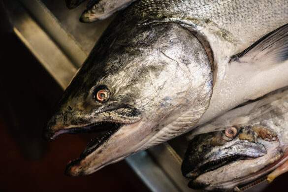 Fish Heads at Seattle Pike Place Fish Market