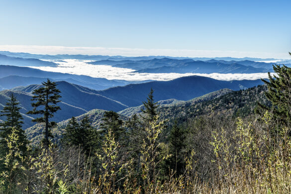 Great Smoky Mountains Panorama from Clingmans Dome