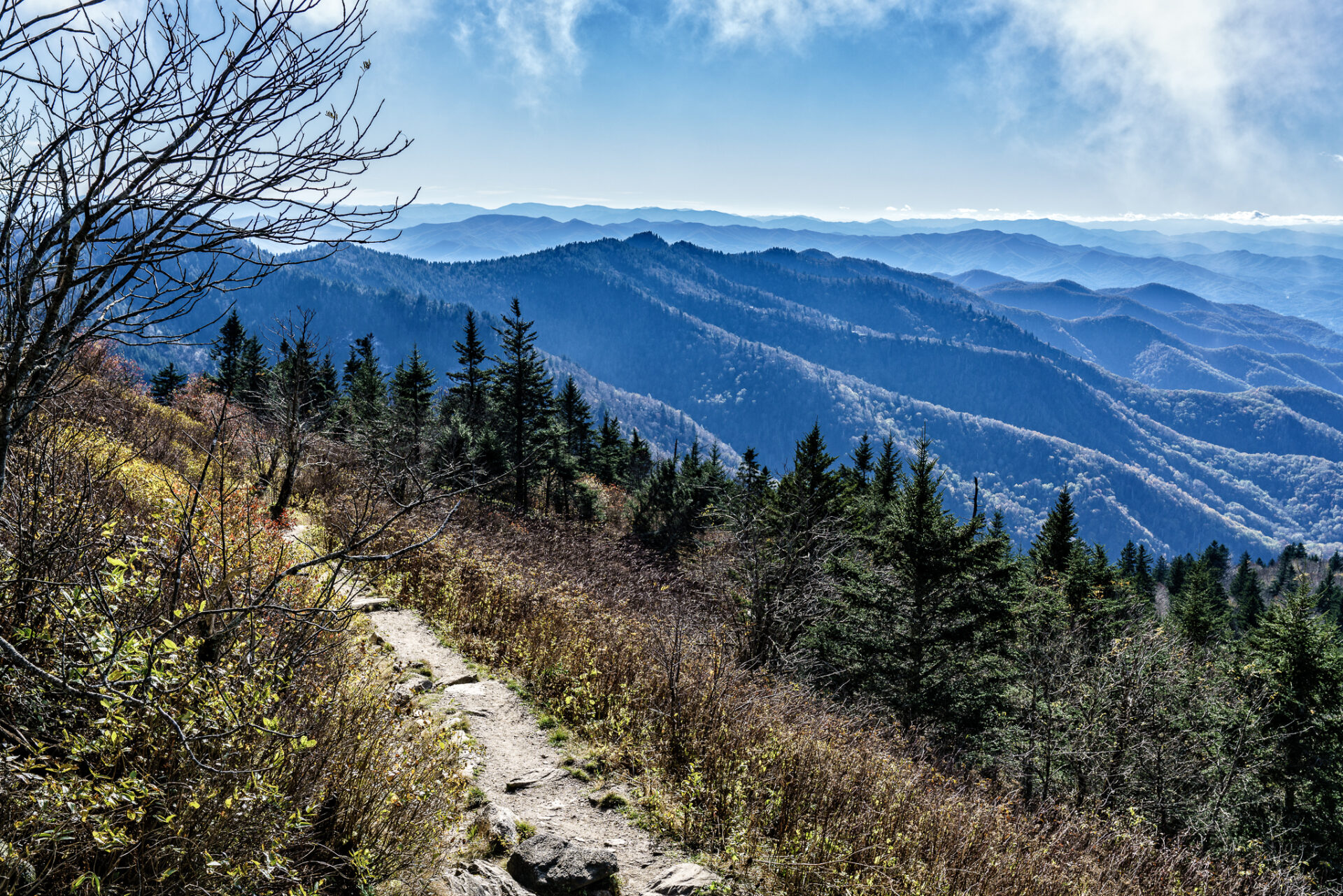 Layers of Mountains from Waterrock Knob Trail on Blue Ridge Parkway