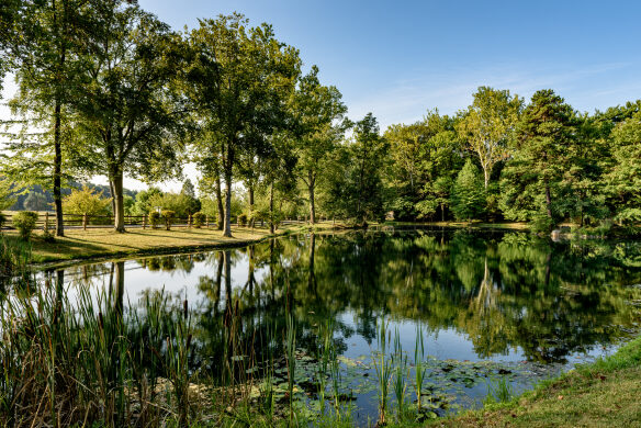 Lake reflections near Sugarloaf Mountain