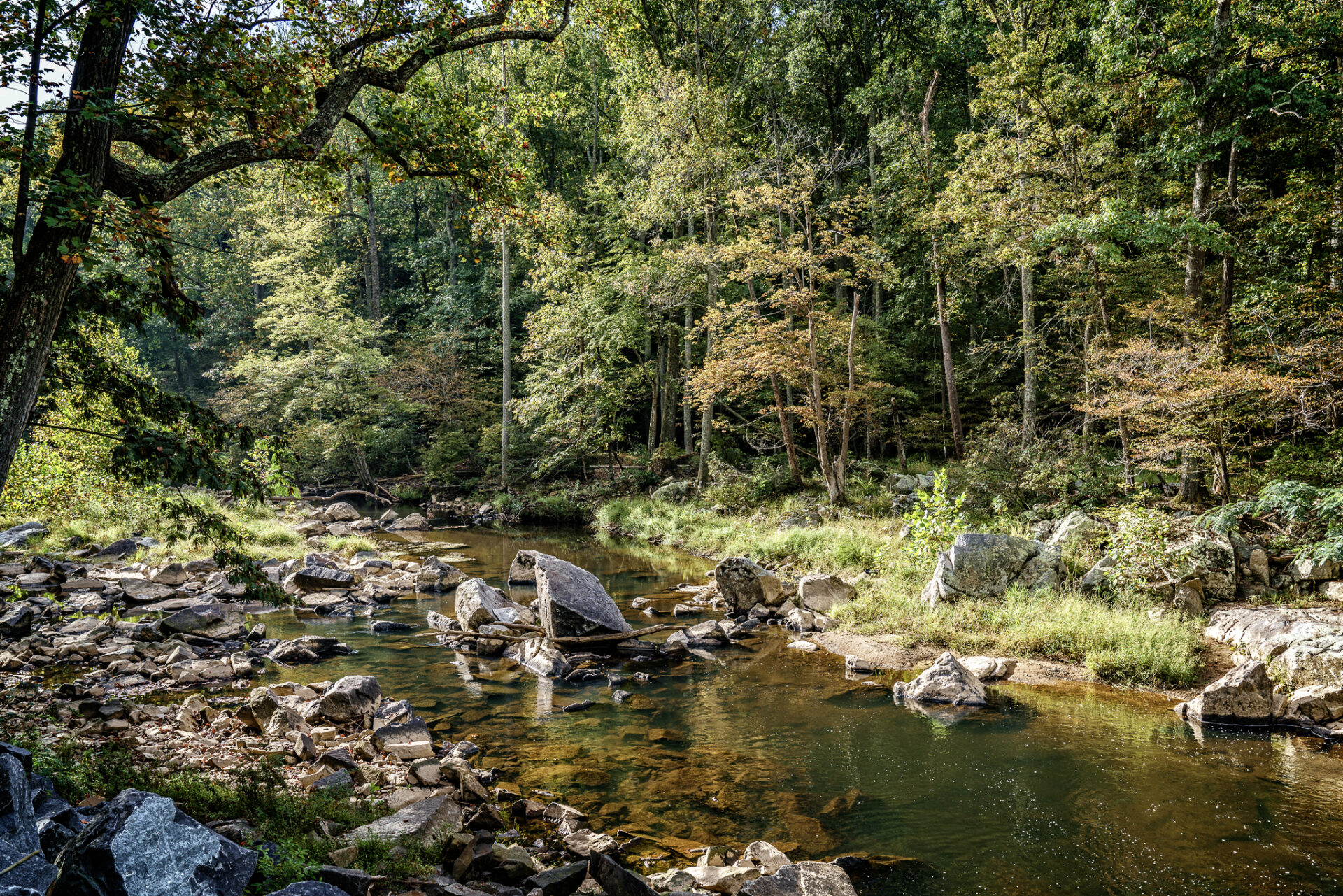 The Rocky Difficult Run River