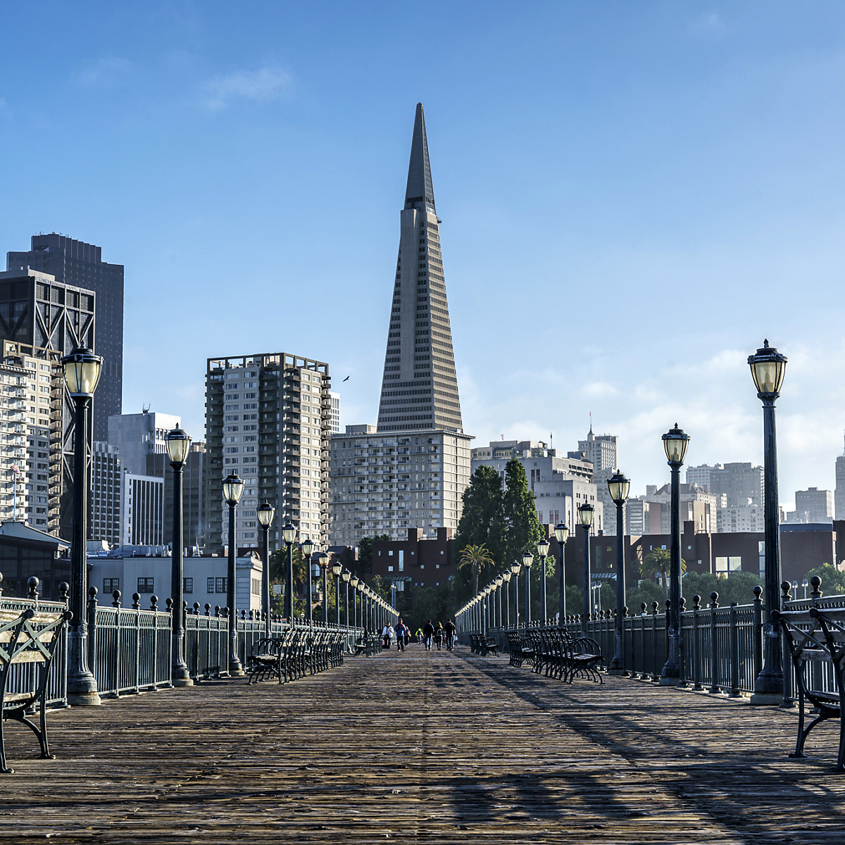 america！shihara シハラ square pierce 7 Transamerica-Pyramid-Looms-