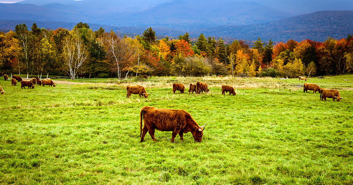 A dark fall day at the Trapp Family Lodge Jasonian Photography