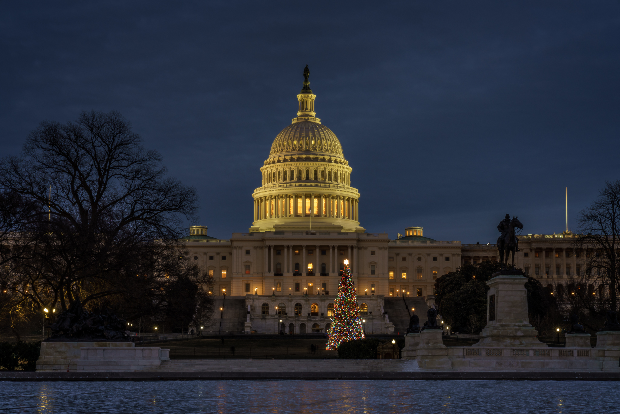 U.S. Capitol Christmas Tree