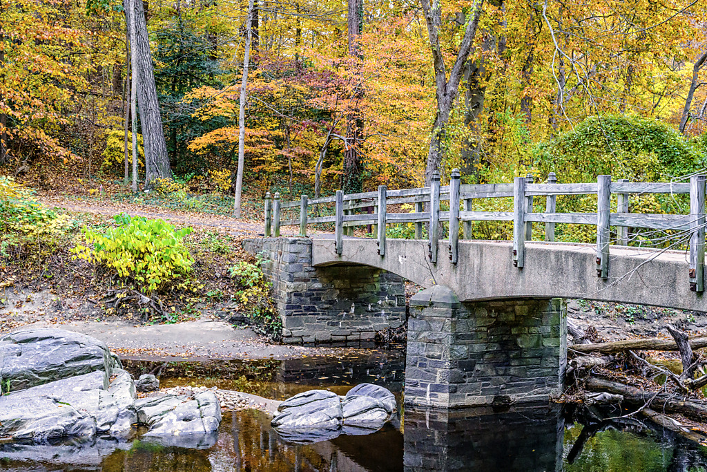 Bluff Bridge Leads to Fall Colors in Rock Creek Park